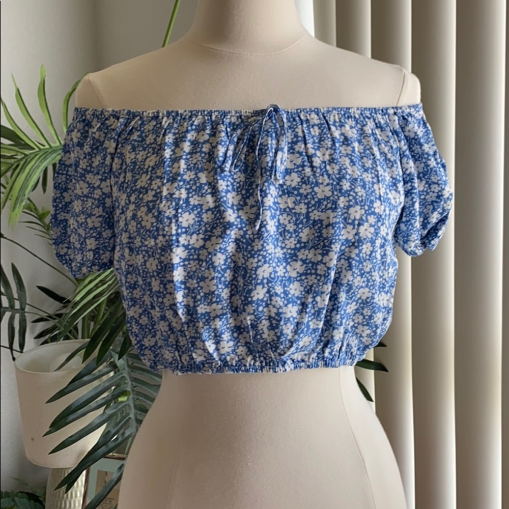 Reformation Blue Floral Crop Top